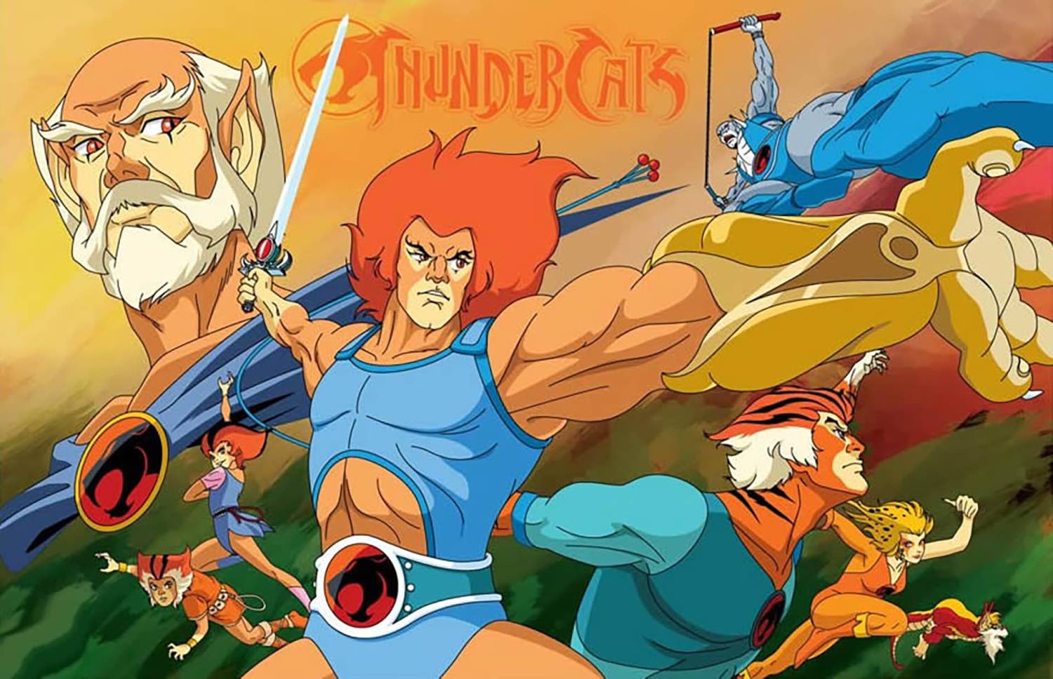 Coleção de desenhos clássico Thundercats antigo ( Desenho completo anos 80)  