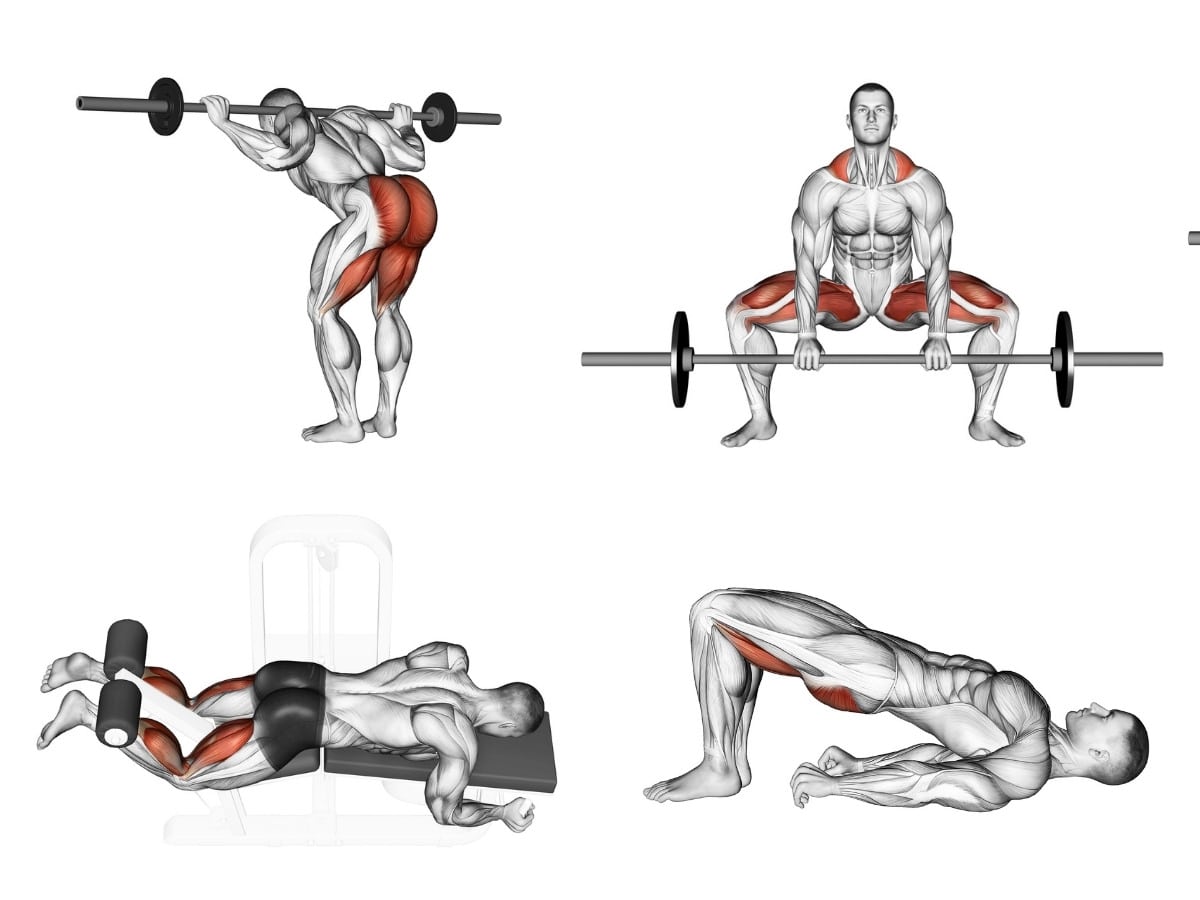 Melhores Exercicios Para Posterior De Coxas Isquiotibiais